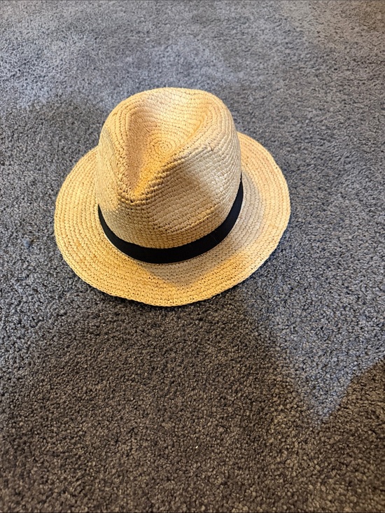 J. Crew Other - J. Crew Beige Straw Fedora with Black Band